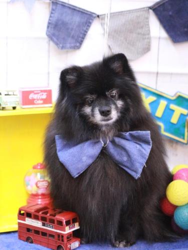 20230429ふわりちゃん